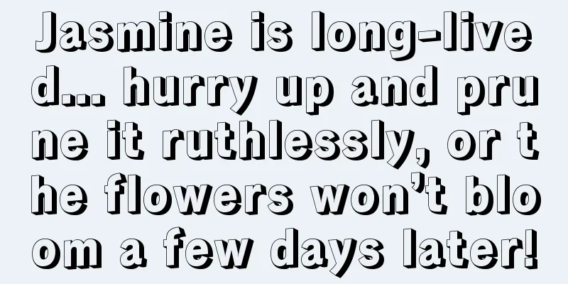 Jasmine is long-lived... hurry up and prune it ruthlessly, or the flowers won’t bloom a few days later!