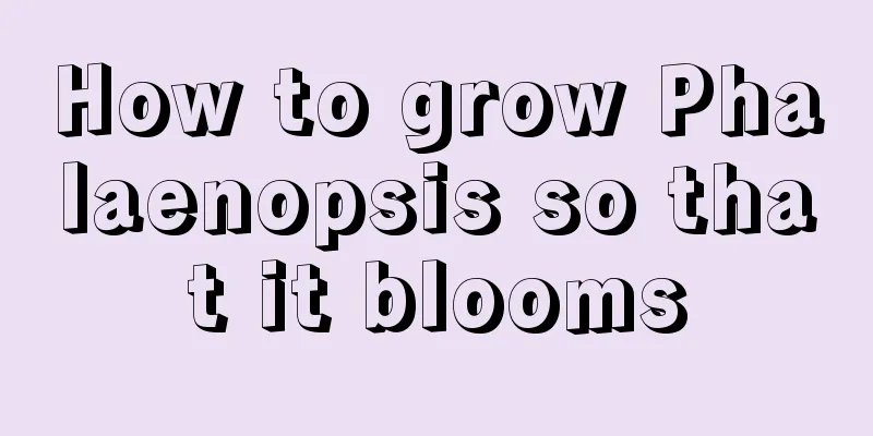 How to grow Phalaenopsis so that it blooms