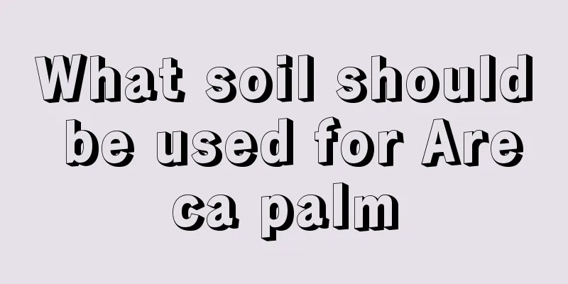 What soil should be used for Areca palm