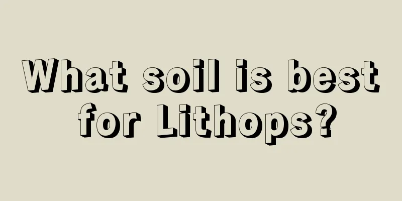 What soil is best for Lithops?