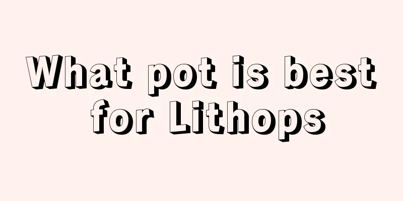 What pot is best for Lithops