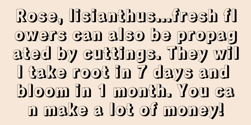 Rose, lisianthus...fresh flowers can also be propagated by cuttings. They will take root in 7 days and bloom in 1 month. You can make a lot of money!