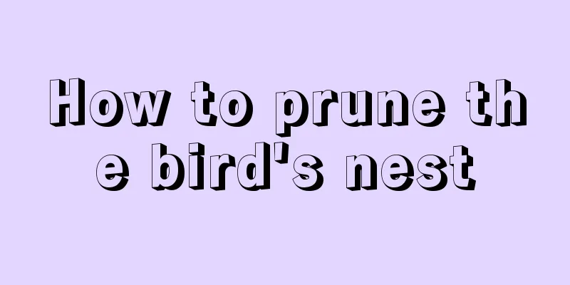 How to prune the bird's nest