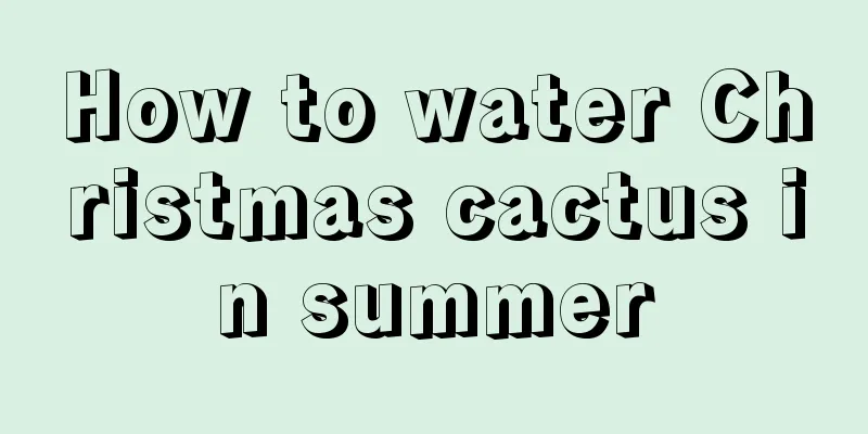 How to water Christmas cactus in summer