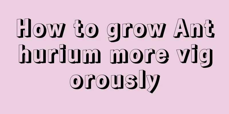 How to grow Anthurium more vigorously