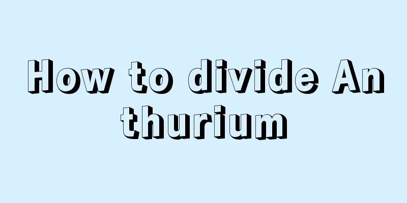 How to divide Anthurium