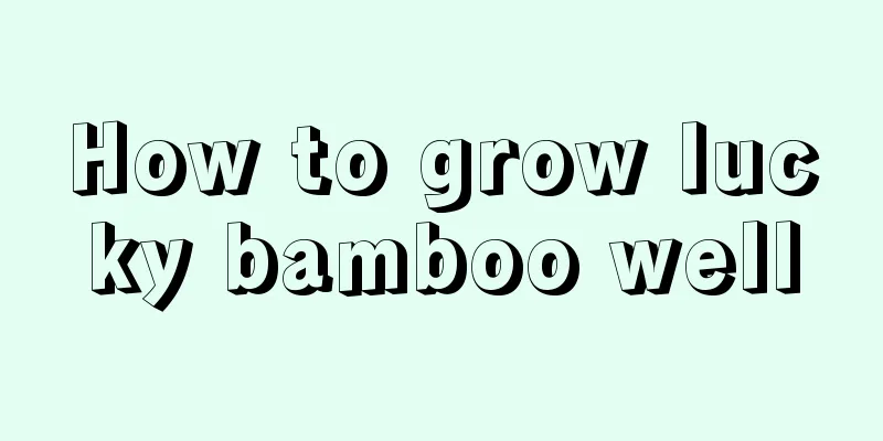 How to grow lucky bamboo well