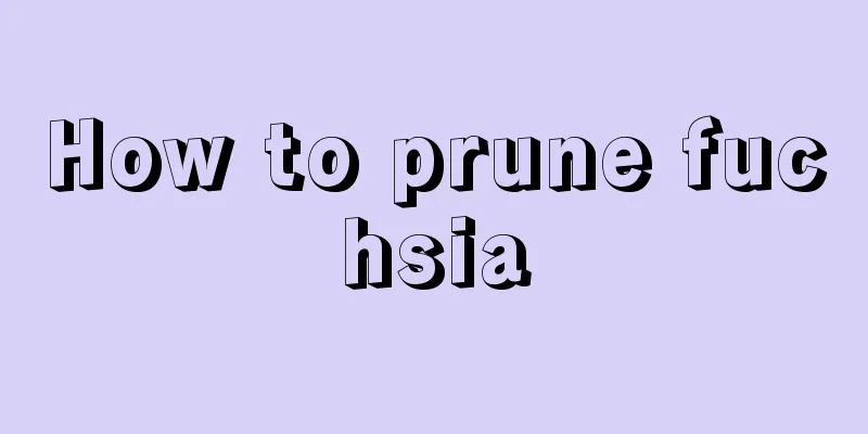 How to prune fuchsia