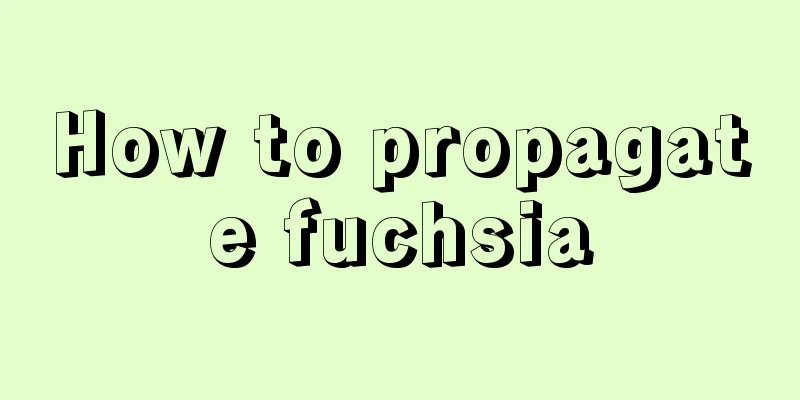 How to propagate fuchsia