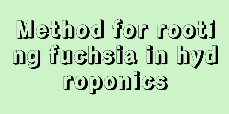 Method for rooting fuchsia in hydroponics