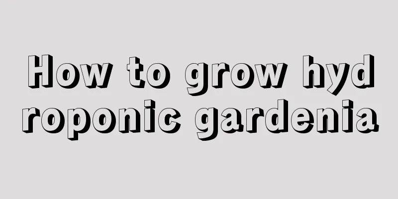 How to grow hydroponic gardenia