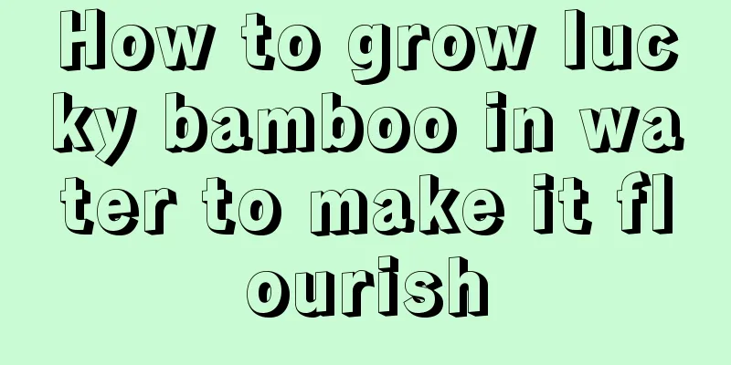 How to grow lucky bamboo in water to make it flourish