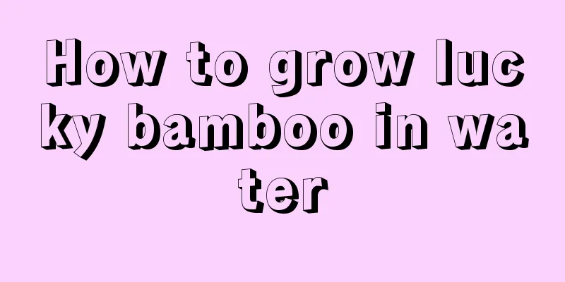 How to grow lucky bamboo in water