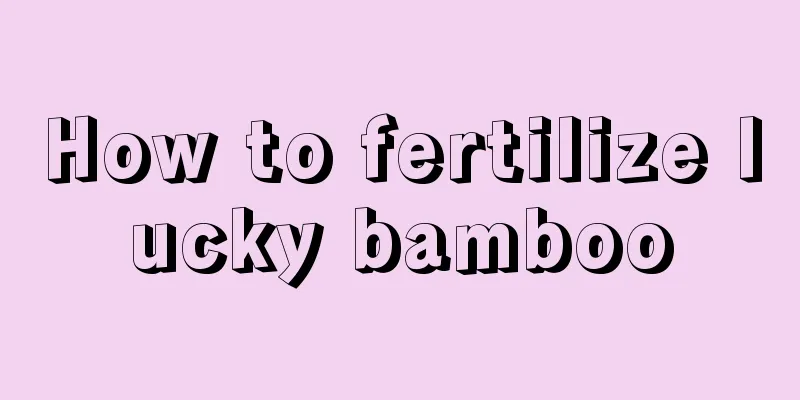 How to fertilize lucky bamboo