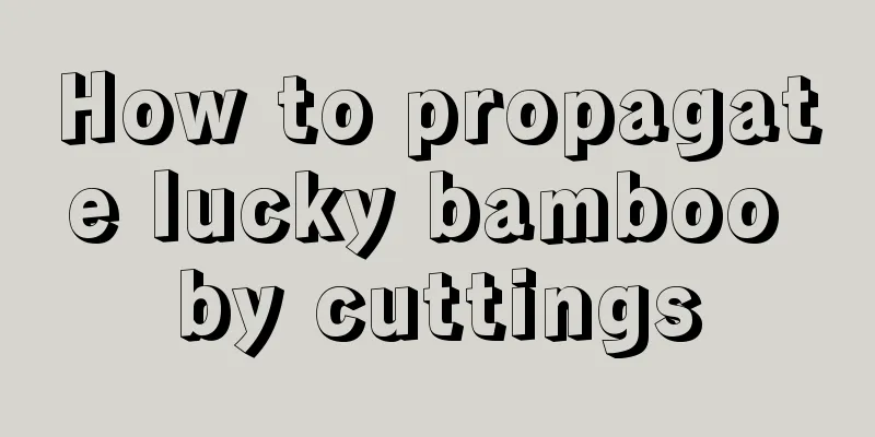 How to propagate lucky bamboo by cuttings