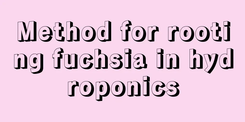 Method for rooting fuchsia in hydroponics