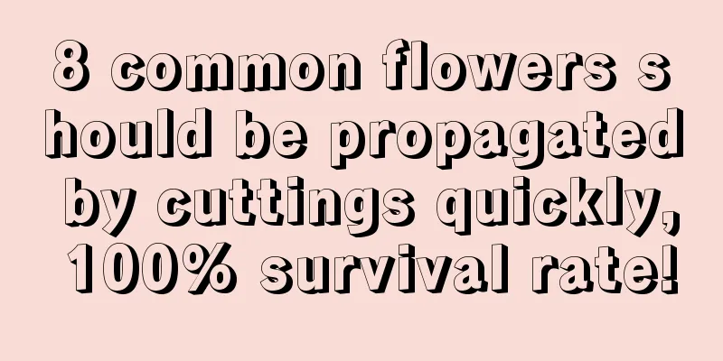 8 common flowers should be propagated by cuttings quickly, 100% survival rate!