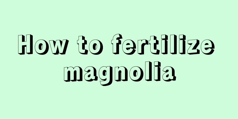 How to fertilize magnolia