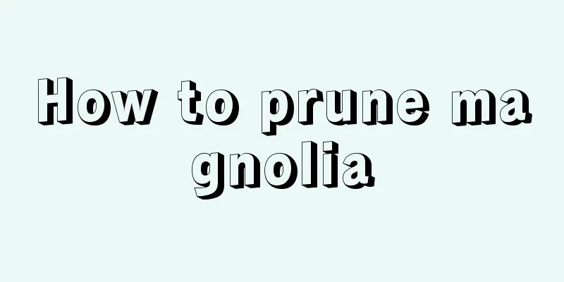 How to prune magnolia