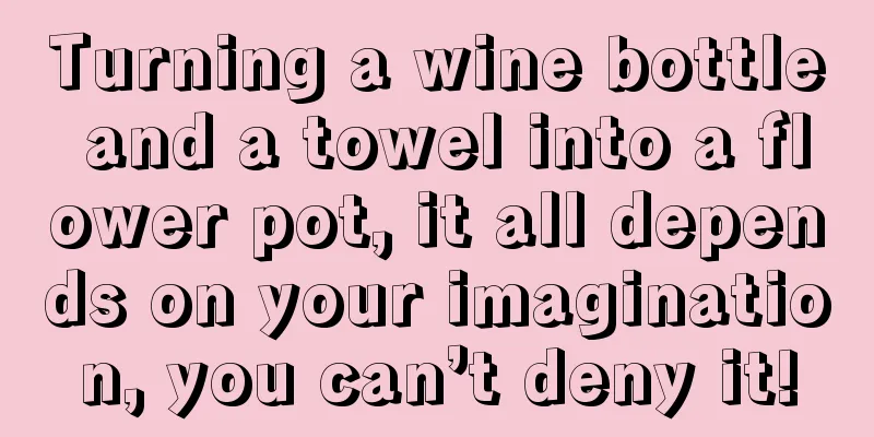 Turning a wine bottle and a towel into a flower pot, it all depends on your imagination, you can’t deny it!