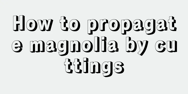 How to propagate magnolia by cuttings