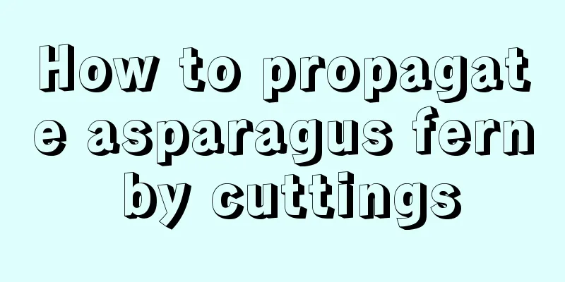 How to propagate asparagus fern by cuttings