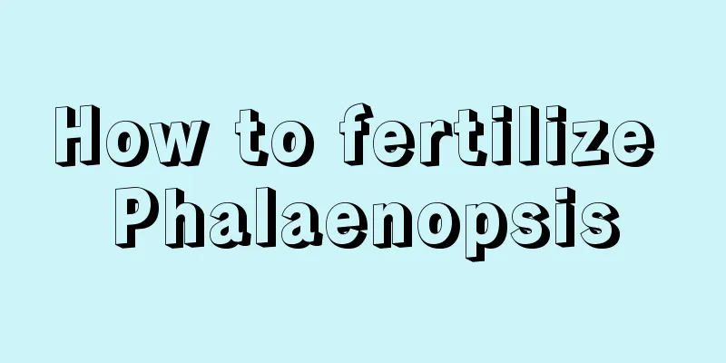 How to fertilize Phalaenopsis