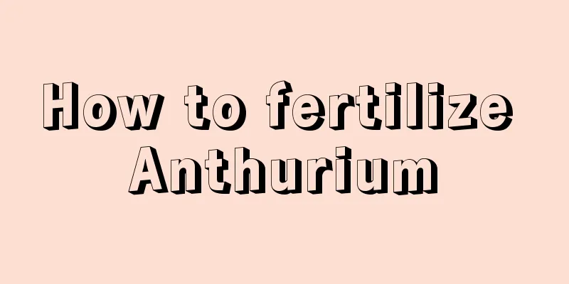 How to fertilize Anthurium