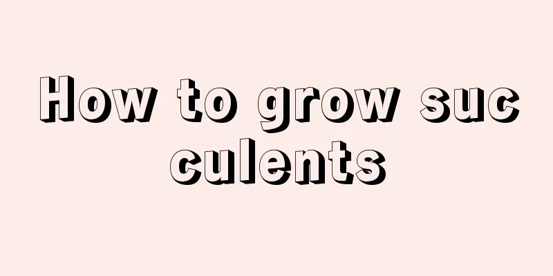 How to grow succulents