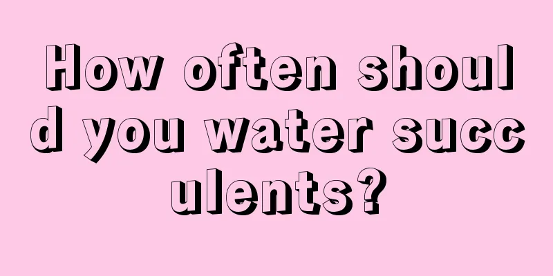 How often should you water succulents?