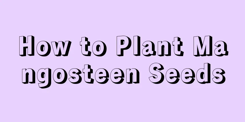 How to Plant Mangosteen Seeds