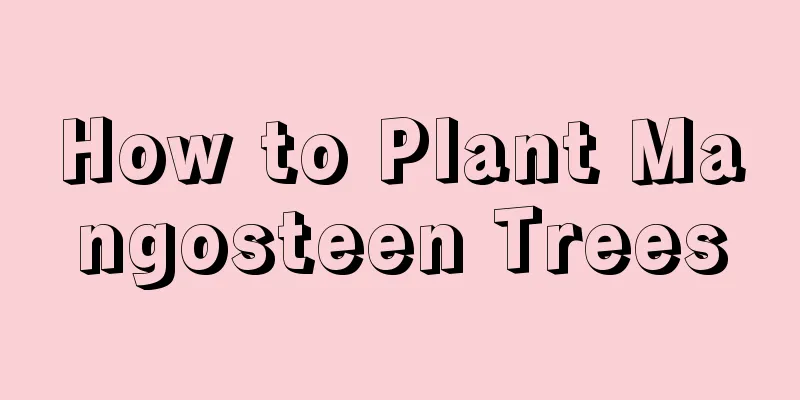 How to Plant Mangosteen Trees