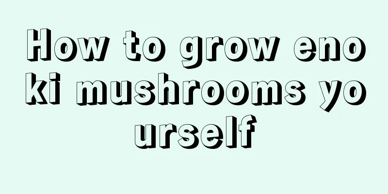 How to grow enoki mushrooms yourself