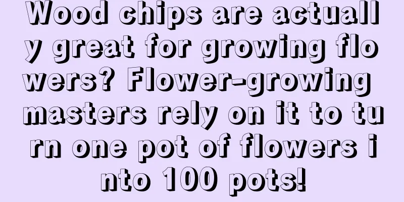 Wood chips are actually great for growing flowers? Flower-growing masters rely on it to turn one pot of flowers into 100 pots!