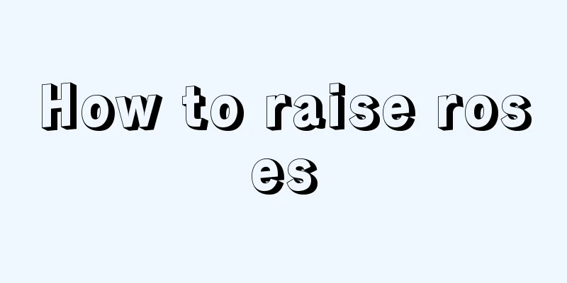 How to raise roses