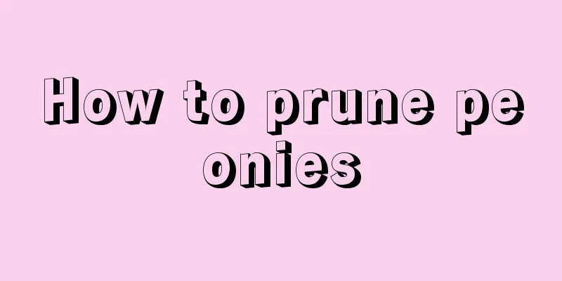 How to prune peonies