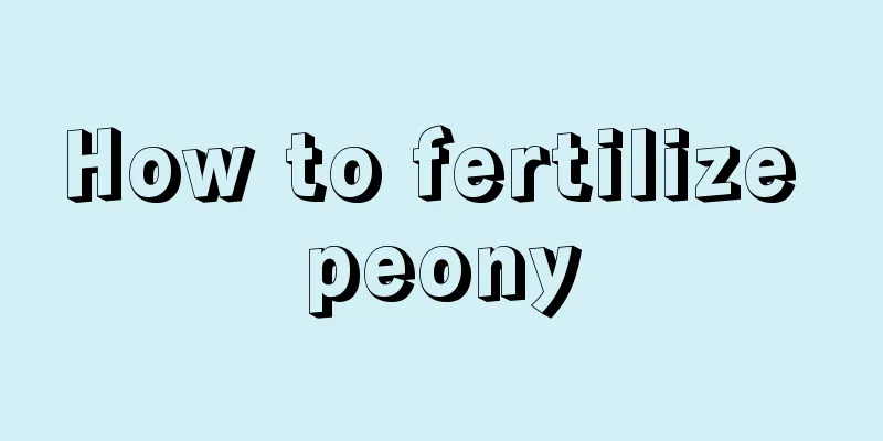 How to fertilize peony