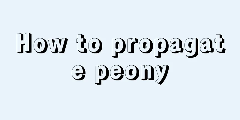 How to propagate peony