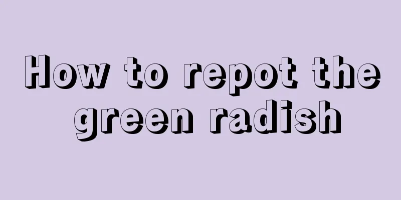 How to repot the green radish