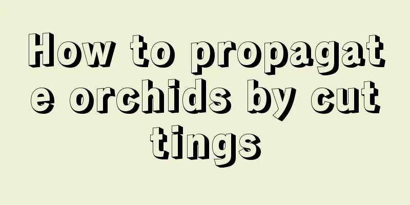 How to propagate orchids by cuttings