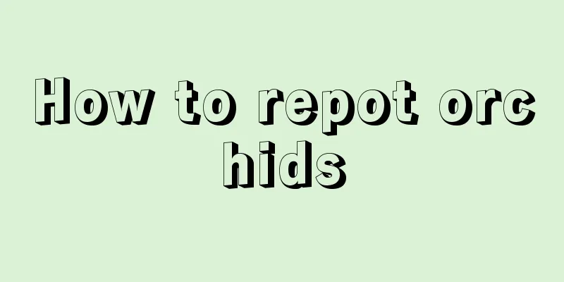 How to repot orchids