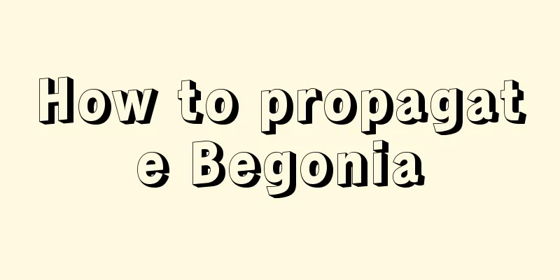 How to propagate Begonia