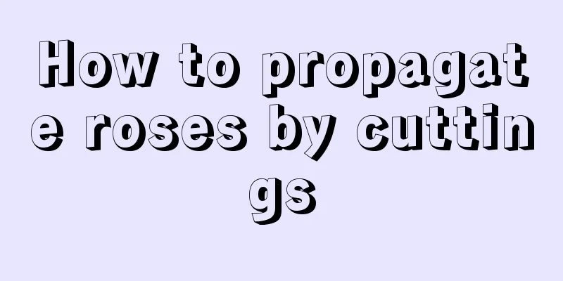 How to propagate roses by cuttings