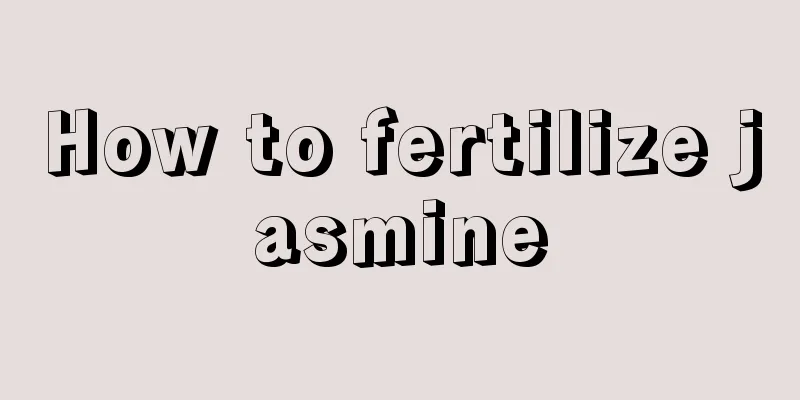 How to fertilize jasmine