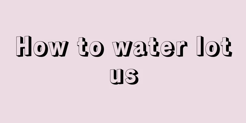 How to water lotus