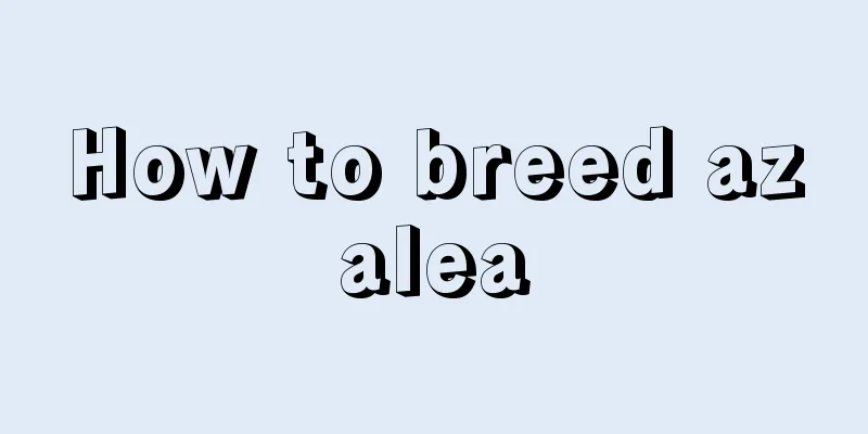 How to breed azalea