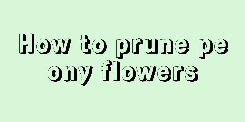 How to prune peony flowers