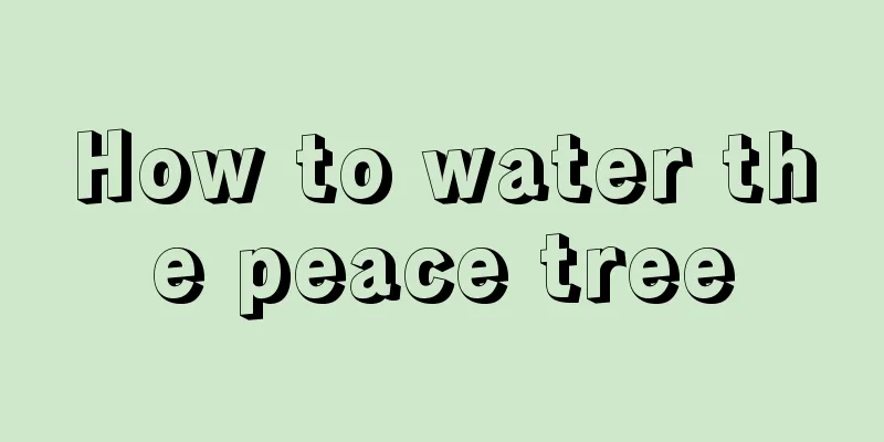 How to water the peace tree