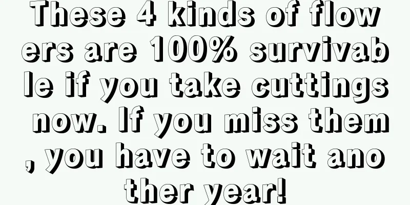 These 4 kinds of flowers are 100% survivable if you take cuttings now. If you miss them, you have to wait another year!