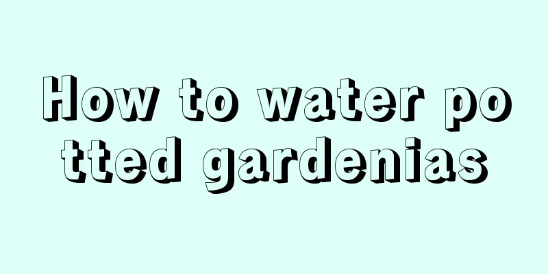 How to water potted gardenias